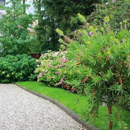 Josefa 잘츠부르크